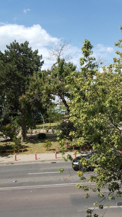 Mia Apartament Tulcea Esterno foto